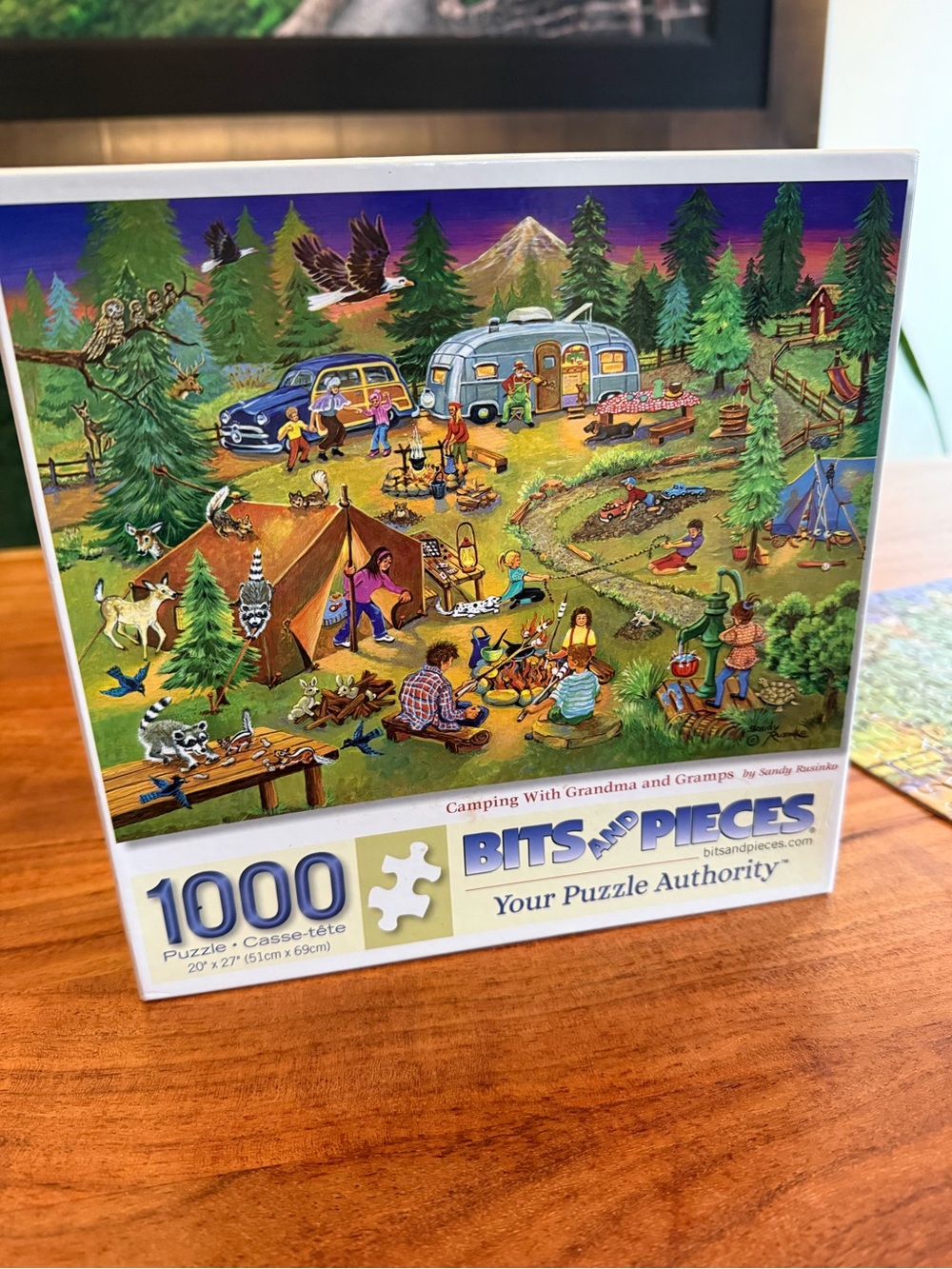 1000-Piece Camping Scene Jigsaw Puzzle - Colorful Outdoor - Bits & Pieces